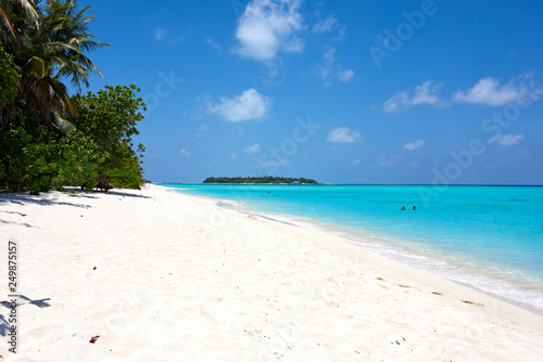 Fototapeta Naklejka Na Ścianę i Meble -  tropical beach and sea maldives island ocean trees
