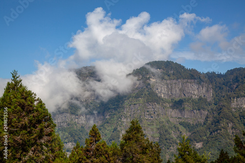 The cloudy on mountain in alishan national park at taiwan