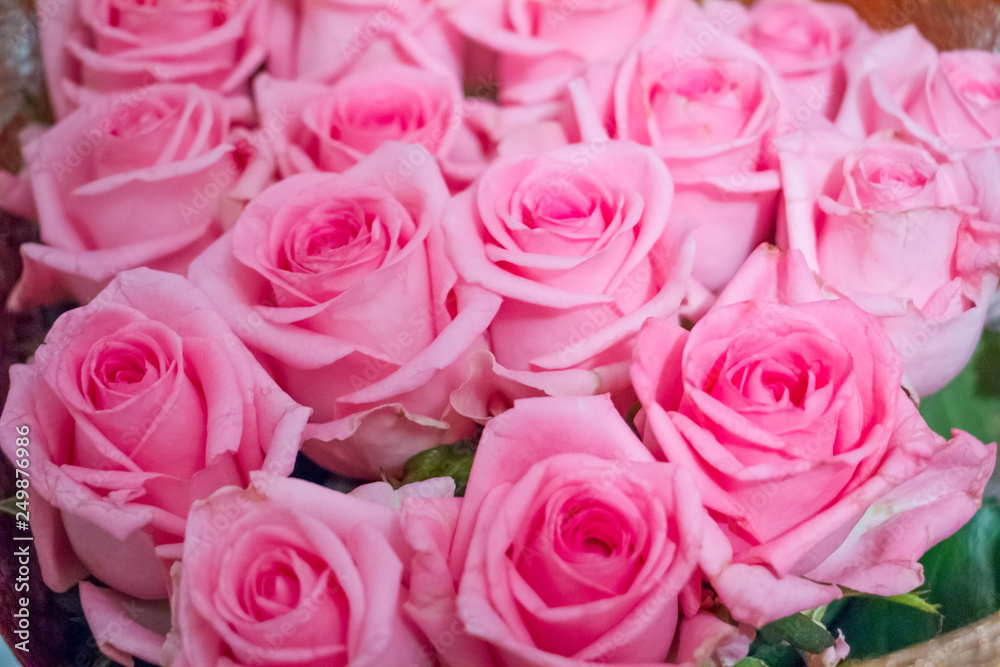 bouquet of pink roses