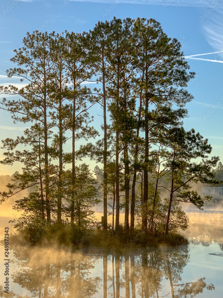 Obraz premium lake in the forest