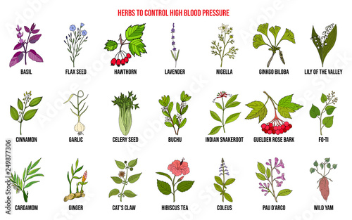 Best herbs to control high blood pressure