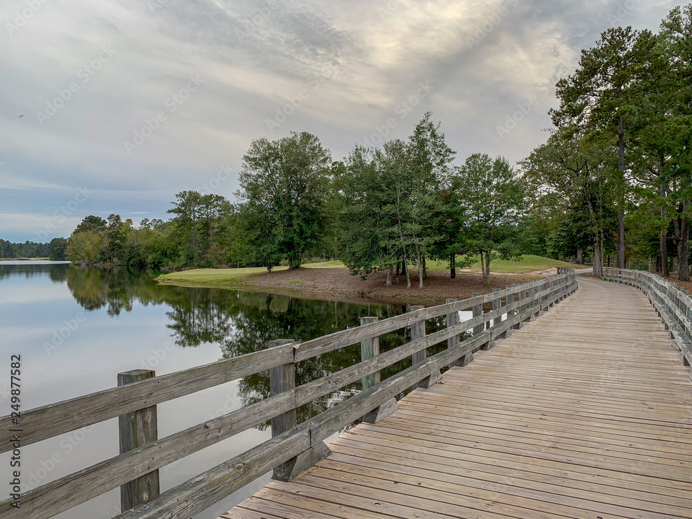 wooden bridge over the river