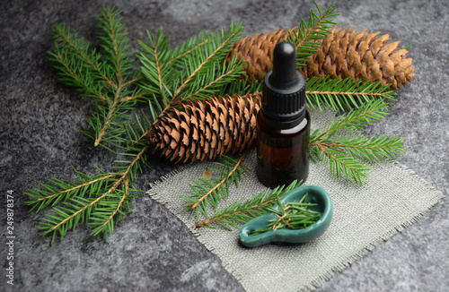 Quadro su tela spruce aromatherapy oil spa wellnes organic