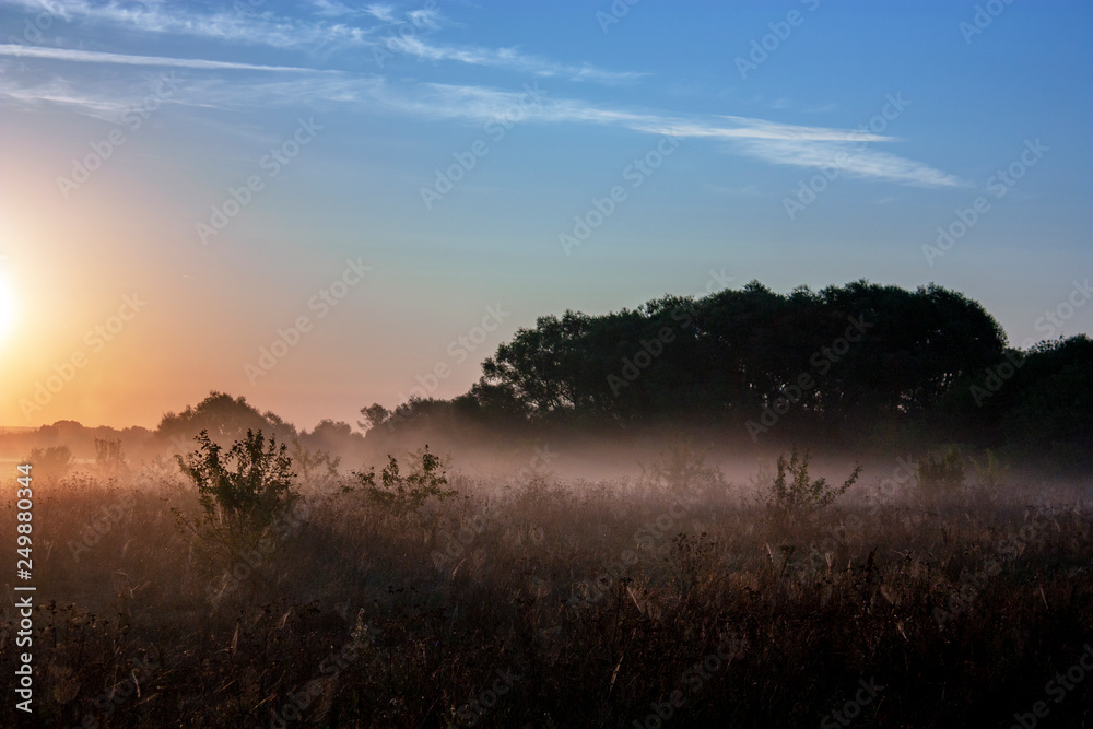 Dry grass in the field at dawn with big shining sun. Silhouette of plants against the background of dawn in summer. Trees on a field in the fog dawn morning