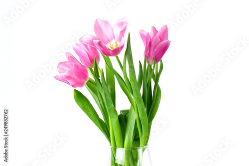 Beautiful tulips on a white background © wings2016