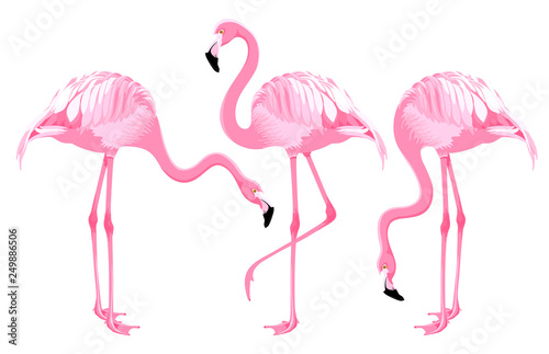 Pink Flamingo Set