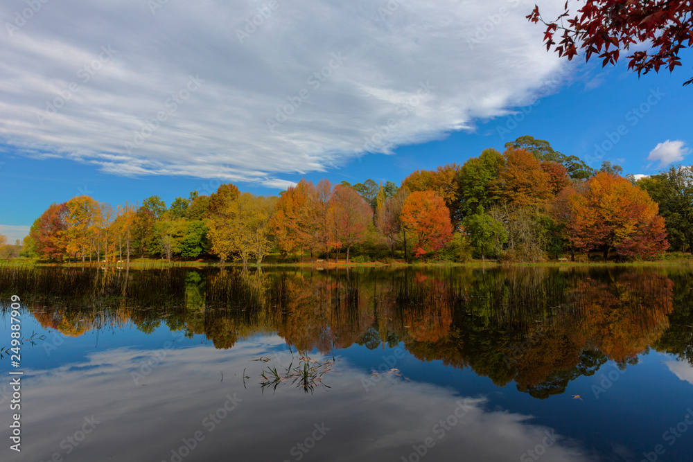 Autumn colored trees and sky reflection on the water