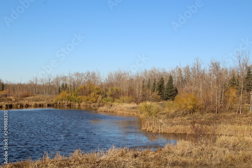 Last Colours Of Autumn, Pylypow Wetlands, Edmonton, Alberta