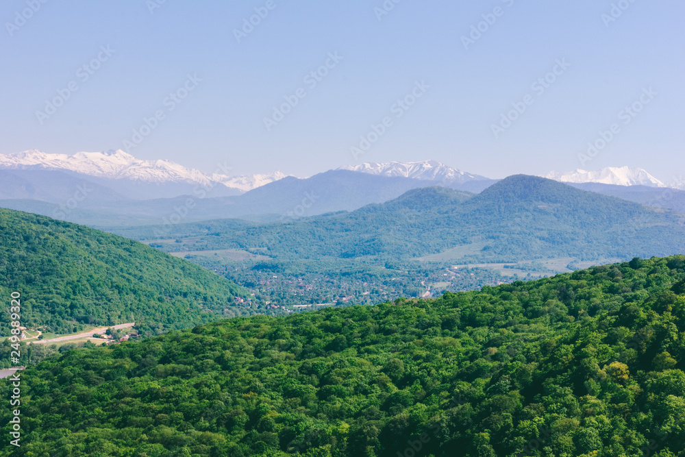 forest landscape in the mountains of the Caucasus on a spring or summer  sunny morning