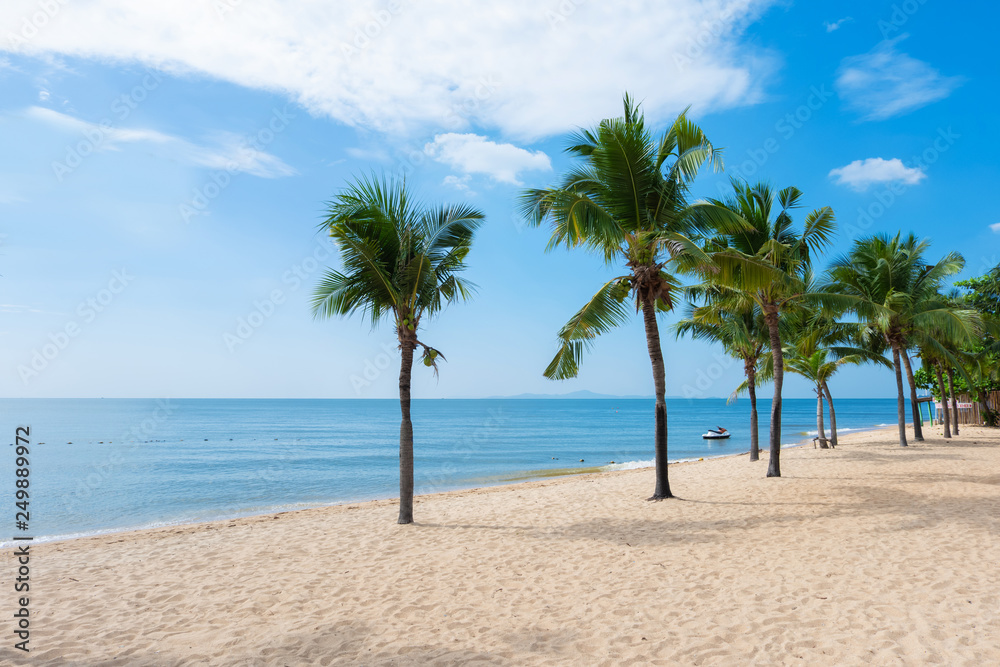tropical beach with coconut tree