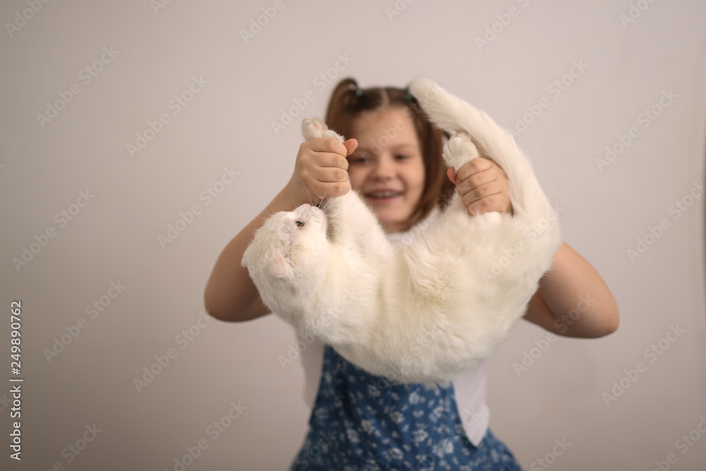 kid Girl holding a cat's paws, cat like toy kid Girl holding a cat's paws, cat like toy