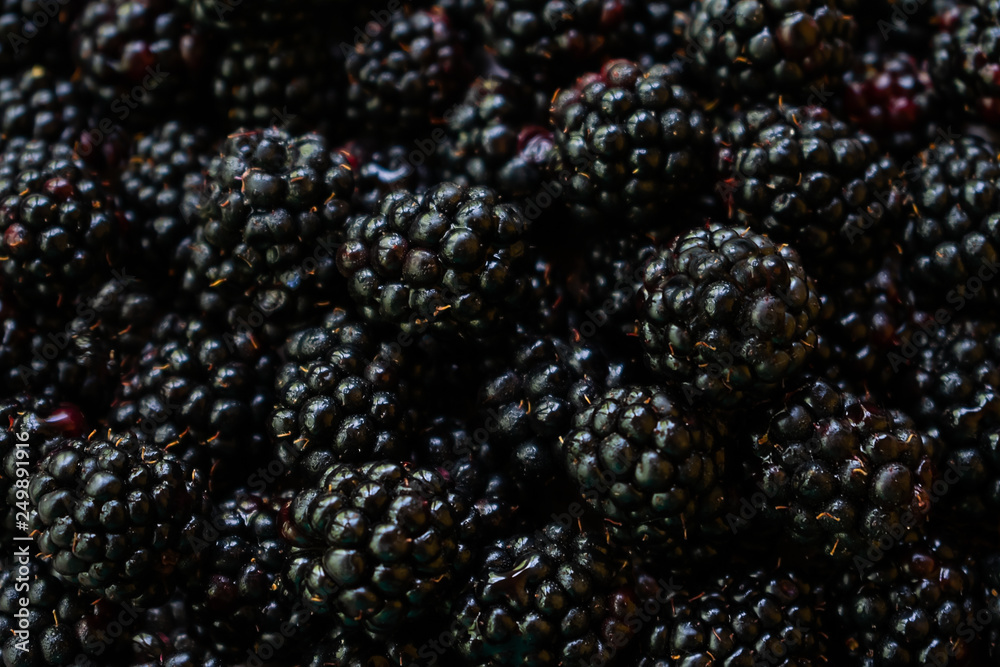 Background made of blackberries Background made of blackberries