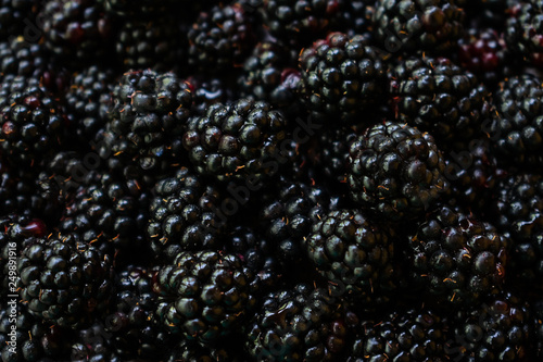 Background made of blackberries