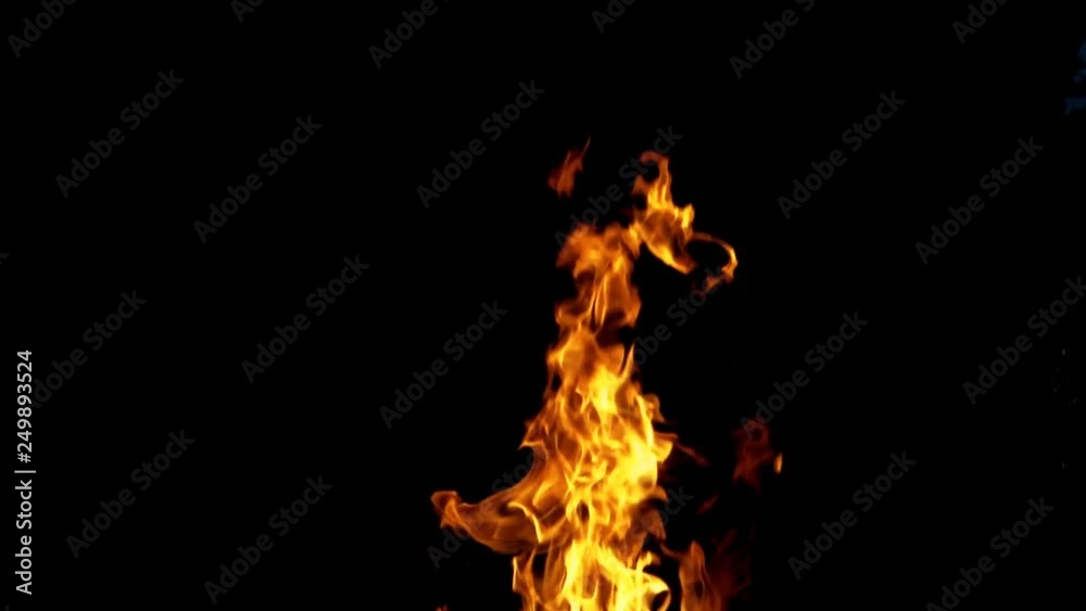 Great dance of bright colored fire isolated on black background. Slow motion of orange flame from burning fire at dark night. Great dance of bright colored fire isolated on black background. Slow motion of orange flame from burning fire at dark night.