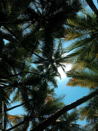 Vacation to Beach Shore coastline