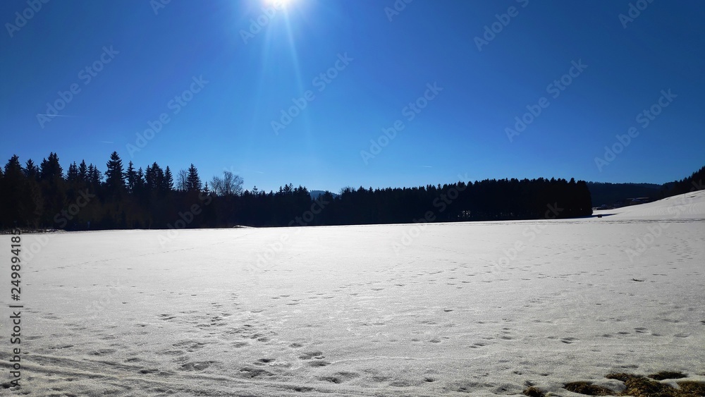Obraz premium Schneelandschaft bei Sonne