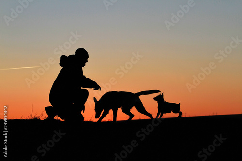 A man and two dogs against the backdrop of an incredible sunset