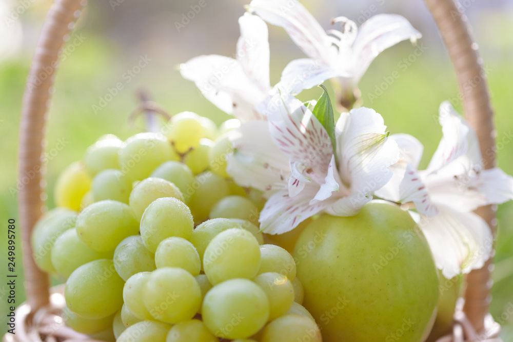 Picnic basket with grapes, apples, concept of relaxation Picnic basket with grapes, apples, concept of relaxation