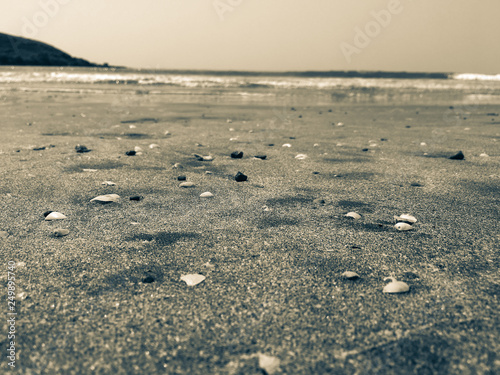 Vacation to Beach Shore coastline