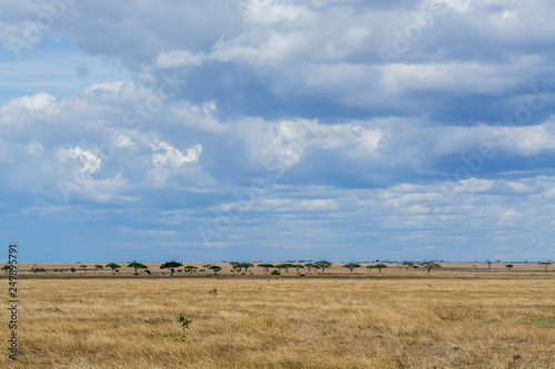 Serengueti, Tanzania