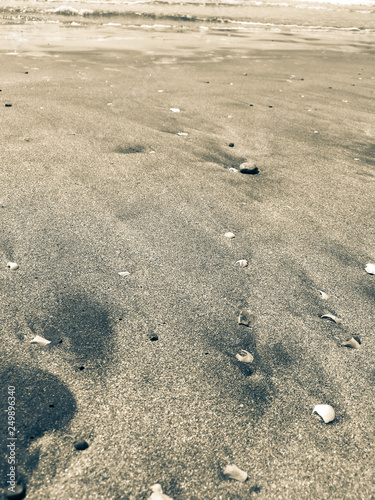 Vacation to Beach Shore coastline
