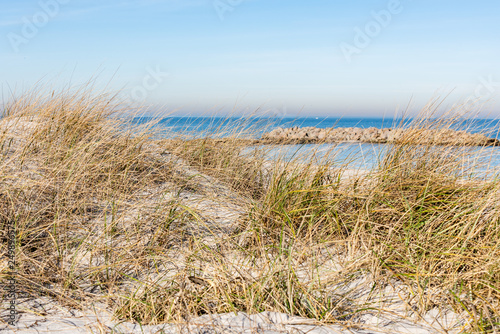 Strand und Düne als Küstenbefestigung bei Heidkate an der Ostsee in Schleswig-Holsten