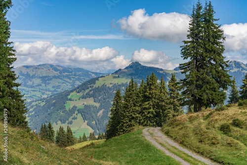 Rural landscape near Gstaad, summer view from the Wispile