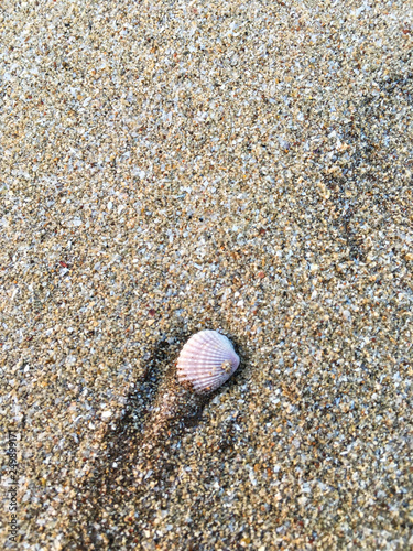 Vacation to Beach Shore coastline