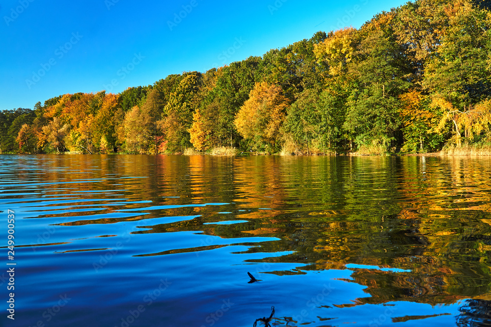 Colorful trees on the lake during autumn in Poznan..