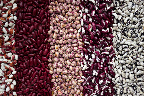 Different types of beans - kidney, variegated beans, anasazi, background. Leguminous, red, white, beige and black beans
