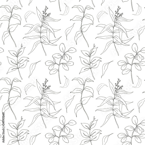 Sketch eucalyptus leaves big seamless pattern. Hand painted sepia eucalyptus leaves and branch isolated on white background for design, print or fabric. © yuliya_derbisheva