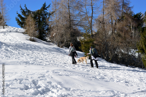 Canvas Print mountaineers climbing the mountain with the dog