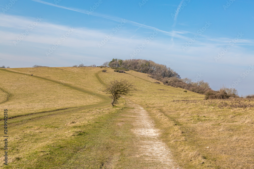 A pathway in the South Downs in Sussex, on a sunny winters day