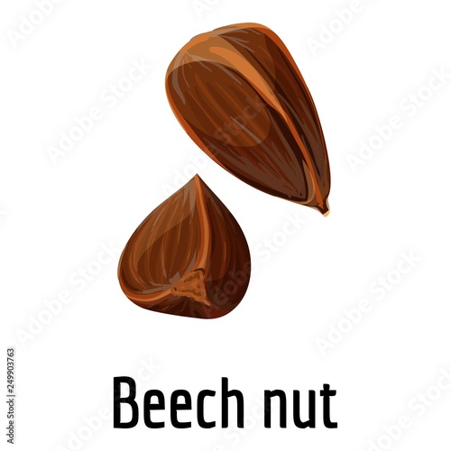 Beech nut icon. Cartoon of beech nut vector icon for web design isolated on white background