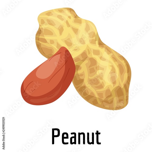 Peanut icon. Cartoon of peanut vector icon for web design isolated on white background