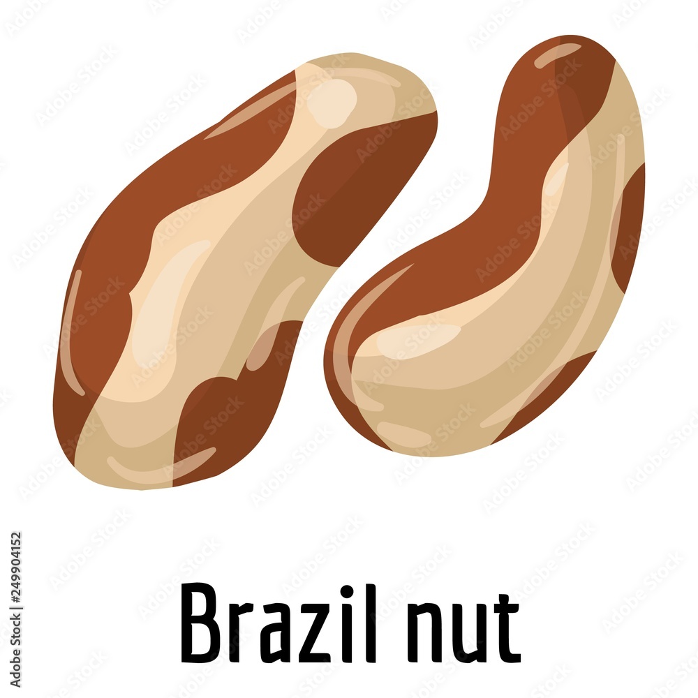 Brazil nut icon. Cartoon of brazil nut vector icon for web design isolated on white background Brazil nut icon. Cartoon of brazil nut vector icon for web design isolated on white background
