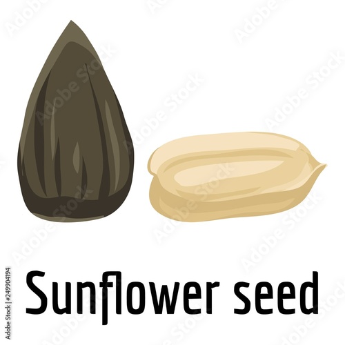 Sunflower seed icon. Cartoon of sunflower seed vector icon for web design isolated on white background