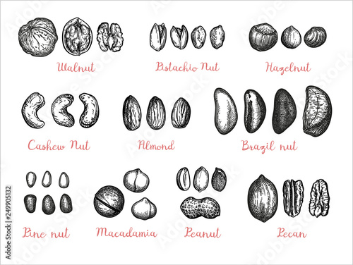 Nuts big set.