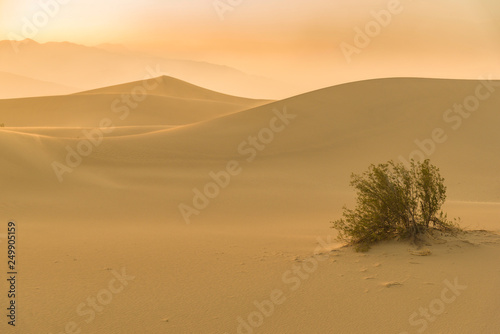 Beautiful Death Valley National Park  Panorama