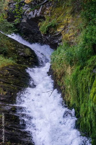 Fototapeta Naklejka Na Ścianę i Meble -  waterfall in forest