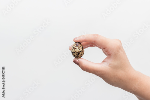 woman hand holding a quail egg, white background