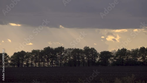 strong wind drives rain clouds over the trees at sunset. photo