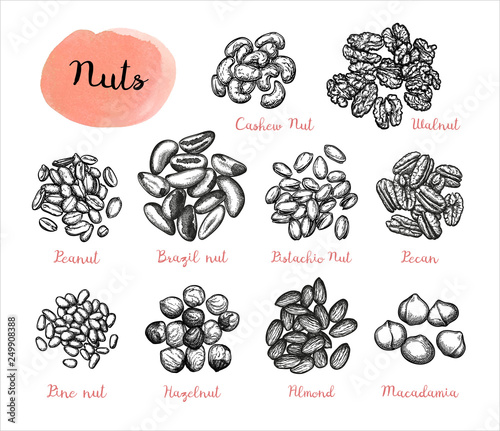 Nuts big set.