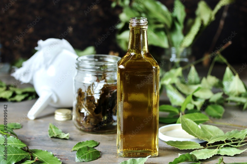 infusion of laurel leaves alcohol. liquor from laurel. Fresh leaves of laurel tree are taken and insisted on alcohol or vodka. popular in the Mediterranean. in Italy called infusion of laurel leaves alcohol. liquor from laurel. Fresh leaves of laurel tree are taken and insisted on alcohol or vodka. popular in the Mediterranean. in Italy called
