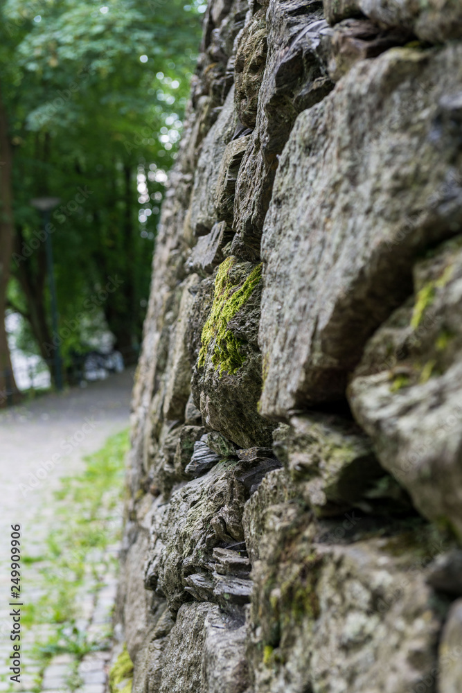 moss on stone