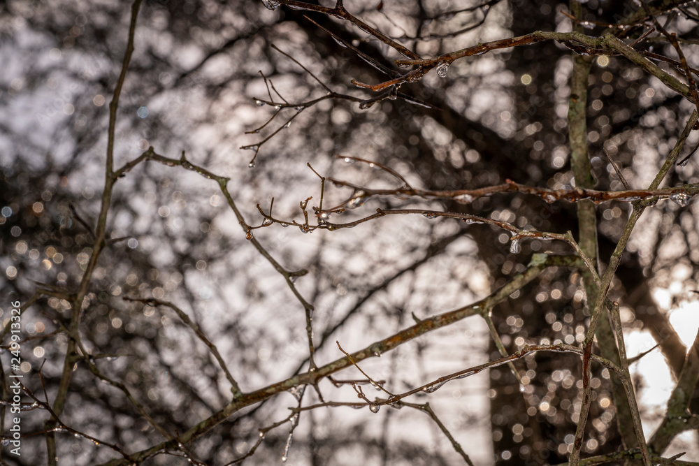 Frozen Frozen