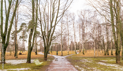 sibelius park in winter