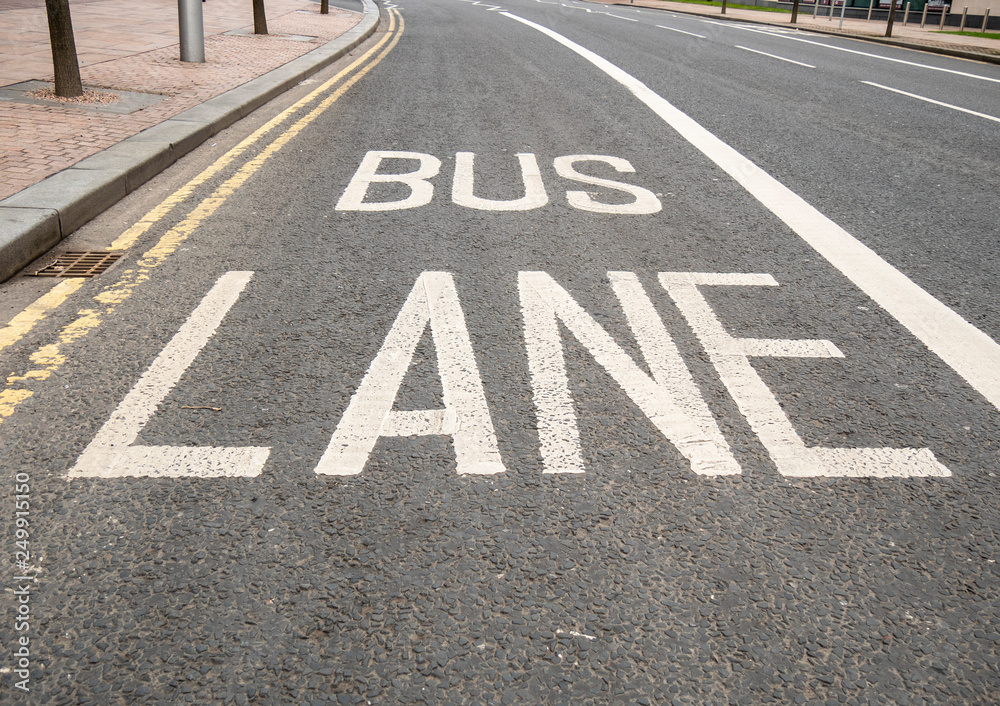 custom made wallpaper toronto digitalBus Lane markings on road