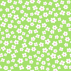 Fototapete Kleine Blumenmuster Weiße Streublüten auf Grün  © Olga Frollen