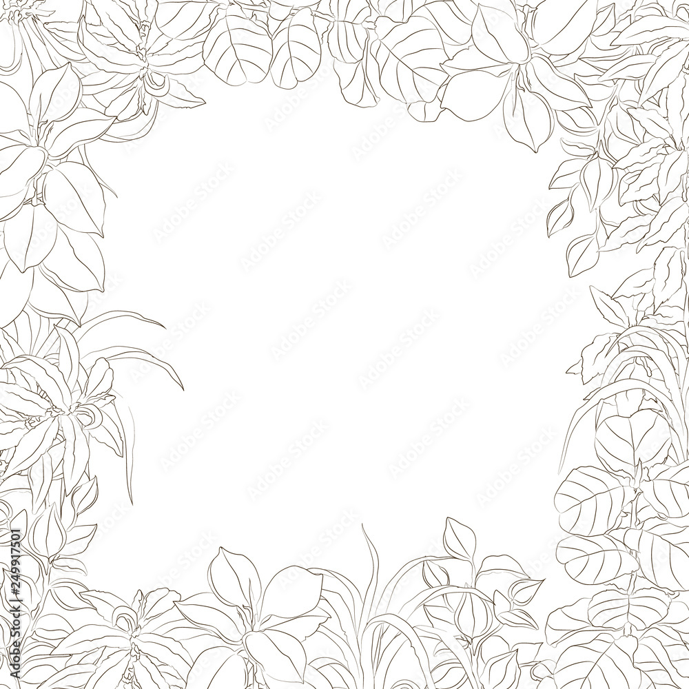 vector hand drawn sketchy simplified floral frame isolated on white. Design element, natural and floral themes, image for printed goods, coloring books, interiors, wallpapers, posters.